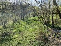 Parcela pro rybe u Szavy - belokozly-03