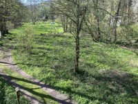 Parcela pro rybe u Szavy - belokozly-04