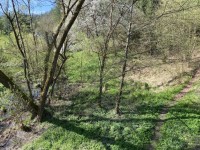 Parcela pro rybe u Szavy - belokozly-10
