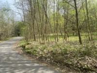 4 stav. parc. pro stavbu chat - belokozly_parc-08