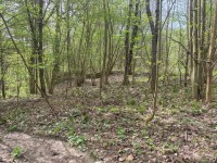 4 stav. parc. pro stavbu chat - belokozly_parc-11