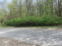 4 stav. parc. pro stavbu chat - belokozly_parc-13