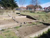 Perspektivn RD u Beneova - bukovany24-04