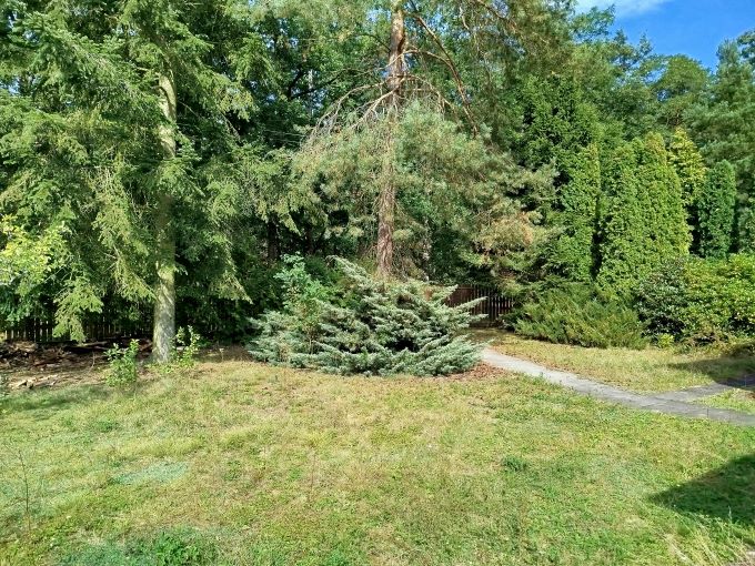 Foto: BUNGALOV24 03 - Perspektivn zdn bungalov 3 + k.k.  se zahradou 678 m² u Davle