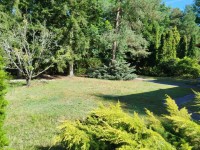 Zdn bungalov u Davle  - bungalov25-08