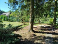 Zdn bungalov u Davle  - bungalov25-11