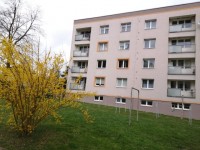 Byt 3+1/L, OV, tchovice       - byt_stechovice-14