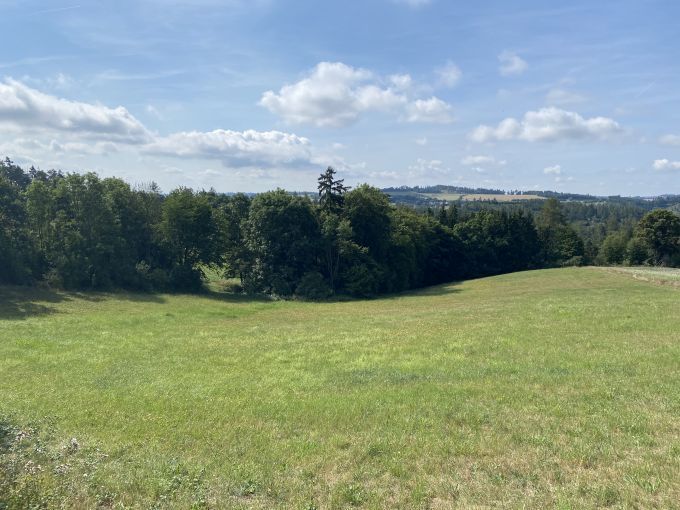 Foto: CERENICE24 24 - Prostorn zdn chata se zahradou 365 m² u Szavy