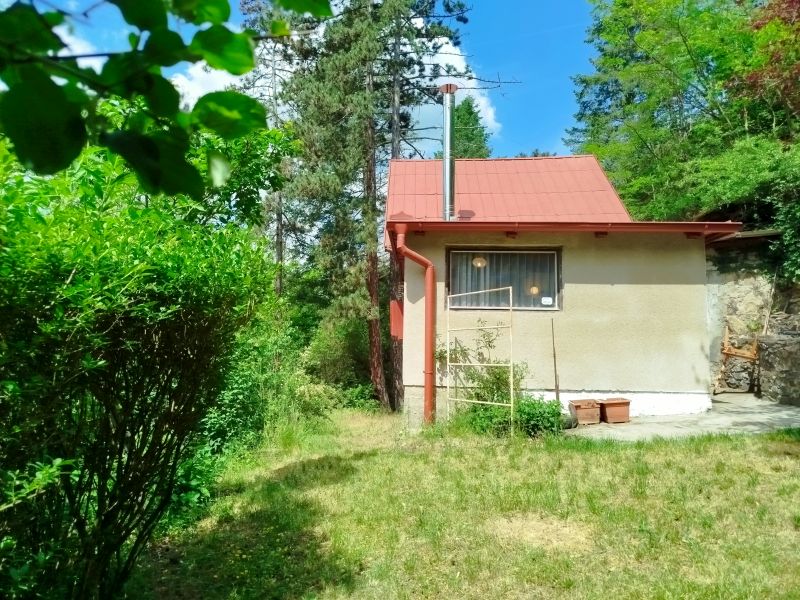 Zd�n� ryb��sk� u Davle  - chlomek26-08