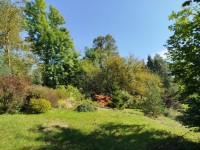 RD Tnec nad Szavou  - chrast25-04