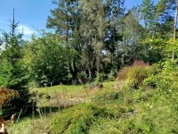 RD Tnec nad Szavou  - chrast25-07