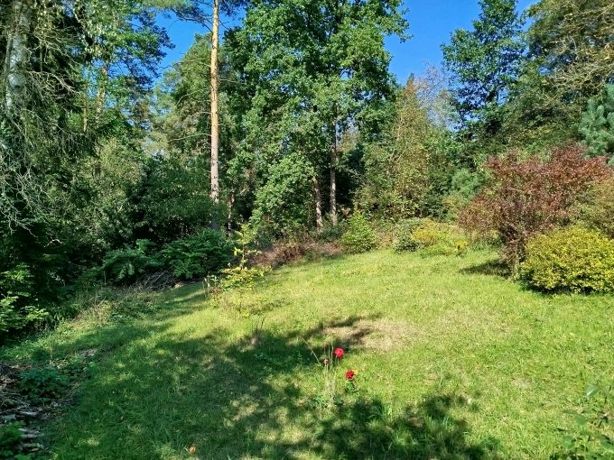 Foto: CHRAST25 22 - D�kladn� rodinn� d�m s kouzelnou proslun�nou zahradou 2 570&nbsp;m&sup2;