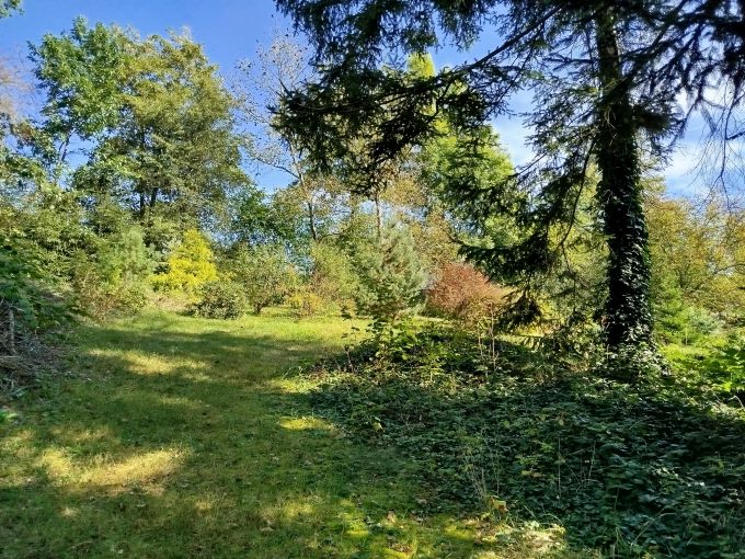 Foto: CHRAST25 25 - D�kladn� rodinn� d�m s kouzelnou proslun�nou zahradou 2 570&nbsp;m&sup2;