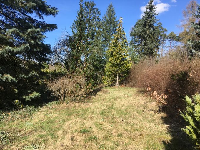Foto: DAVLE 08 - Perspektivn slunn chata se zahradou 670 m²