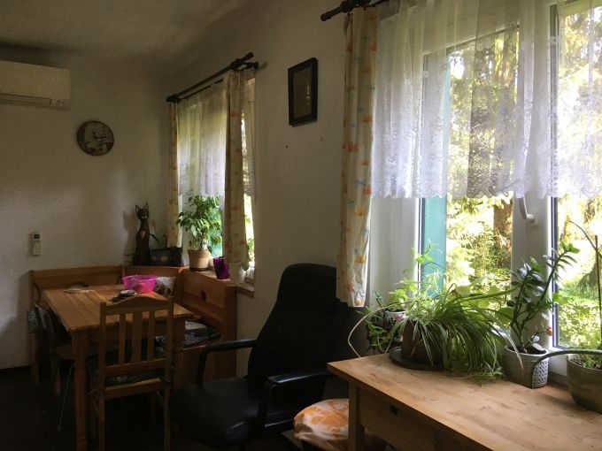 Foto: DAVLE26 09 - Zahrada 587&nbsp;m&sup2; s celoro�n� obyvatelnou chatou a lesem 2500&nbsp;m&sup2;