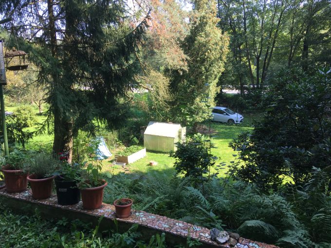 Foto: DAVLE26 19 - Zahrada 587&nbsp;m&sup2; s celoro�n� obyvatelnou chatou a lesem 2500&nbsp;m&sup2;