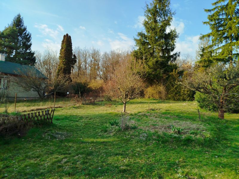 Sametov� zd�n� Hradi�tko    - hradistko26-07