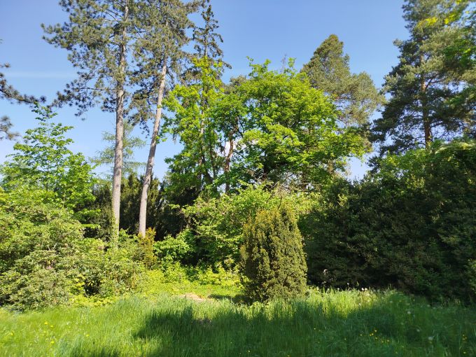 Foto: KP25 23 - Patrov chatovilka se zahradou - stavebn parcelou 1 503 m² 