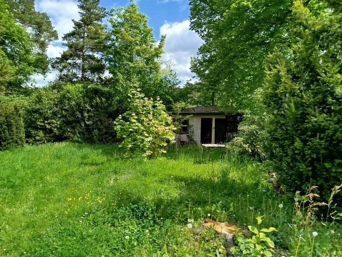 Foto: KP25 26 - Patrov chatovilka se zahradou - stavebn parcelou 1 503 m² 