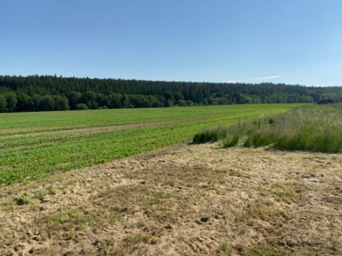 Foto: MAKOLUSKY21 16 - Pozemek pro vstavbu rodinnch dom o celkov vme 8 669 m²