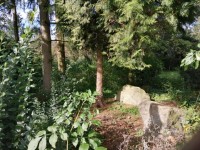 Stav. parc. 571 m² Kamenice - parcela_kamenice23-05