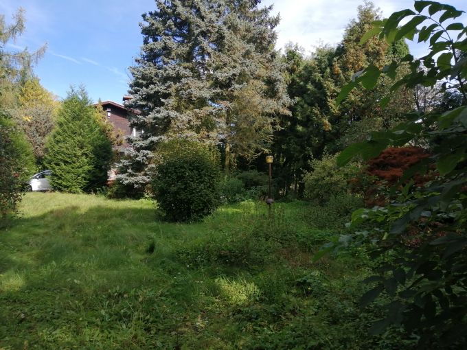 Foto: PARCELA KAMENICE23 07 - Stavebn� parcela - oplocen� zahrada o v�m��e 571&nbsp;m&sup2;