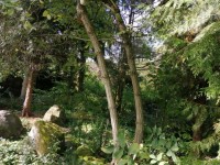 Stav. parc. 571 m² Kamenice - parcela_kamenice23-10
