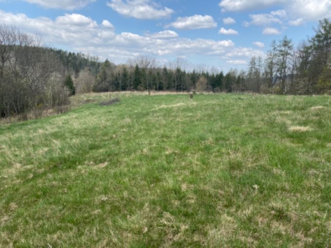 Foto: POZEMEK SAZAVA22 02 - Pozemek pro vstavbu rodinn rekreace o vme 7 630 m²