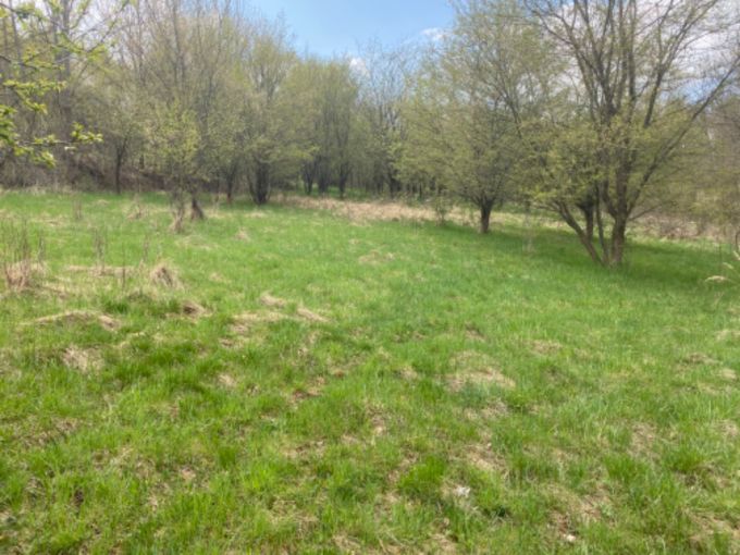 Foto: POZEMEK SAZAVA22 08 - Pozemek pro vstavbu rodinn rekreace o vme 7 630 m²
