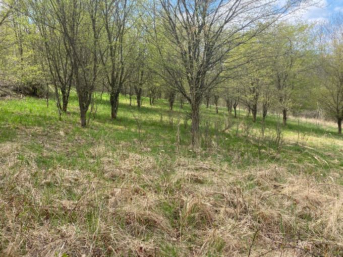 Foto: POZEMEK SAZAVA22 10 - Pozemek pro vstavbu rodinn rekreace o vme 7 630 m²
