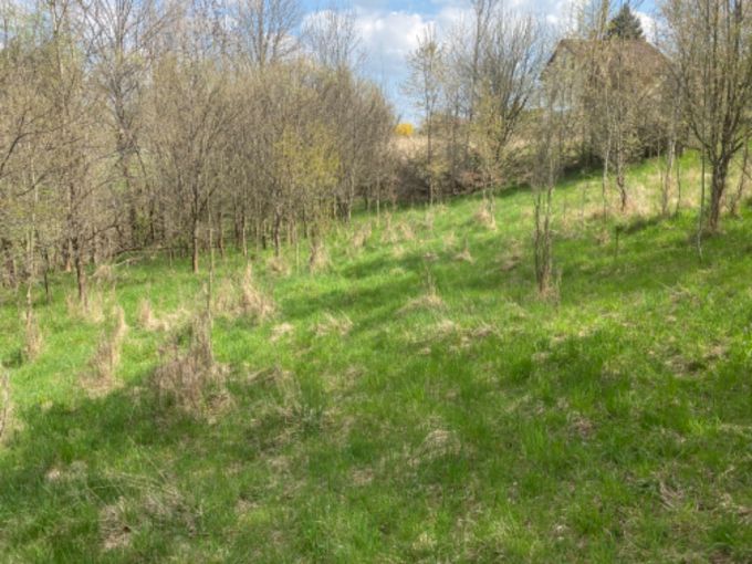 Foto: POZEMEK SAZAVA22 13 - Pozemek pro vstavbu rodinn rekreace o vme 7 630 m²