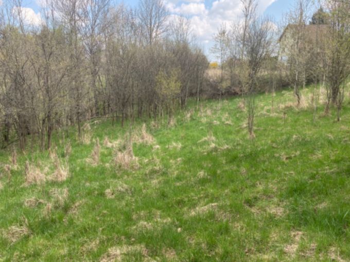 Foto: POZEMEK SAZAVA22 14 - Pozemek pro vstavbu rodinn rekreace o vme 7 630 m²