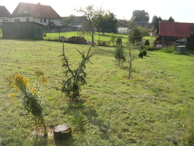 Foto: POZEMEK ZAHRADA 10 - Slunn� stavebn� parcela 1 042&nbsp;m&sup2; na v�stavbu RD v Krhanic�ch 