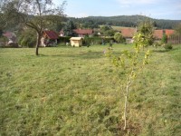 Slunná st. parcela Krhanice - pozemek_zahrada-11