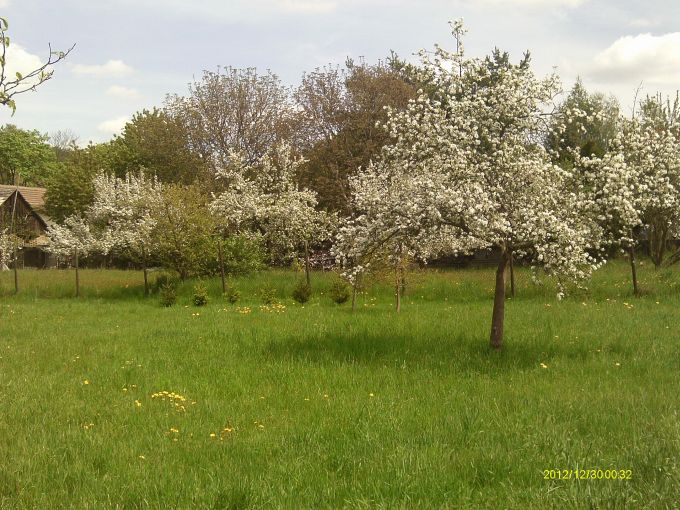 Foto: POZEMEK ZAHRADA 17 - Slunn stavebn parcela 1 042 m² na vstavbu RD v Krhanicch 