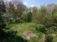 Zdn 4+1 se zahr. 896 m² - trebsin24-10