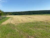 St. Parcely u . ternberka - zbizuby25-04