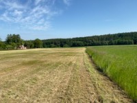 St. Parcely u . ternberka - zbizuby25-09